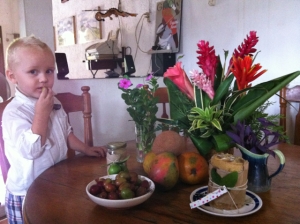 Last week we celebrated my birthday with lots of tropical flowers, fruits, and friends.  